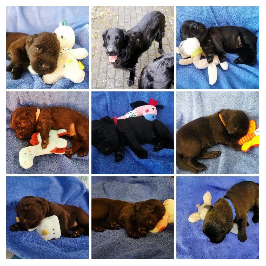 Tag 17 - alle Augen offen, gelaufen wird auch schon und 7/8 haben die 1.000 gr Marke übefschritten