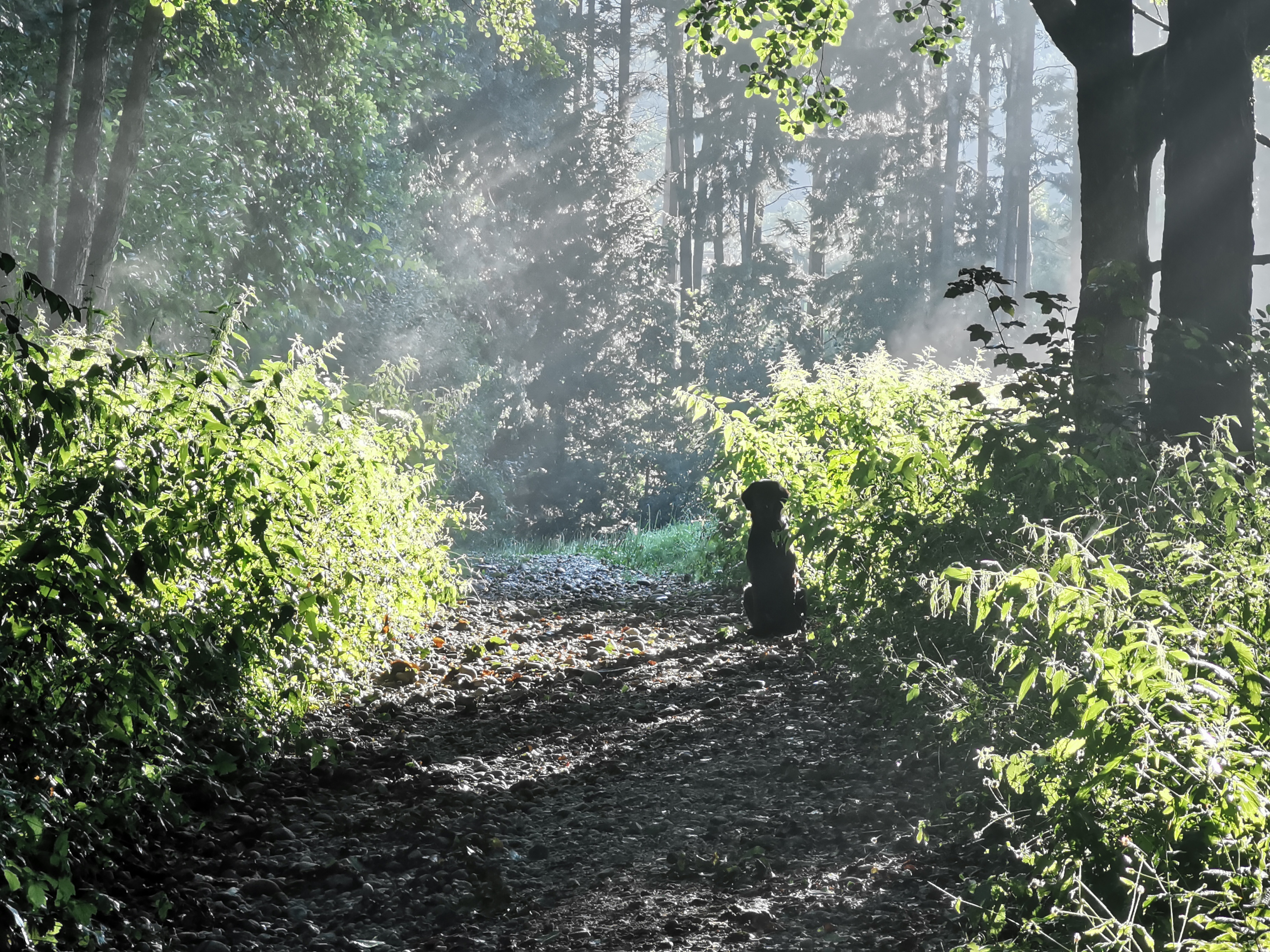steadyness - gespanntes Warten auf Arbeit