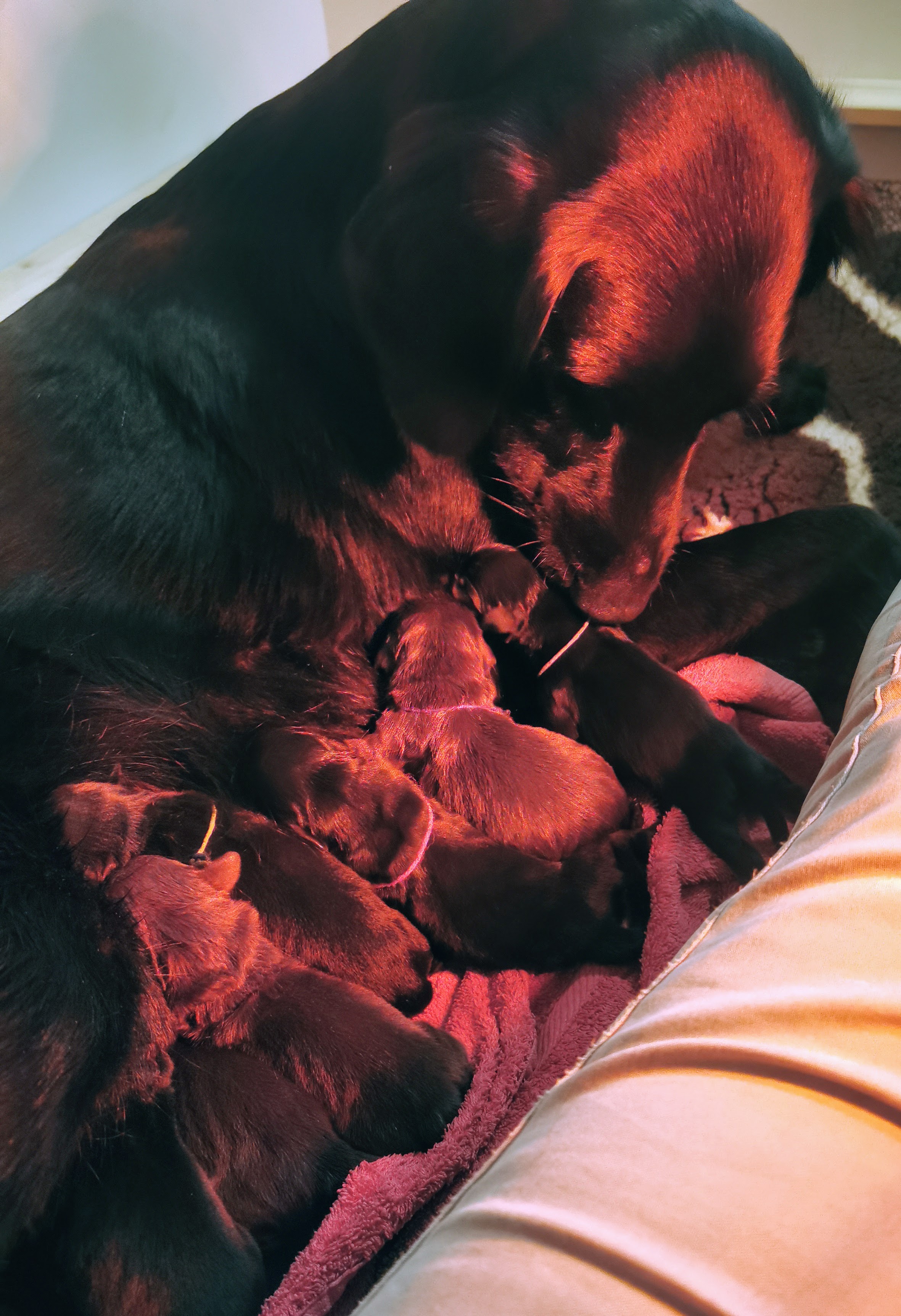 Erstkontakt - riecht gar nicht so schlecht