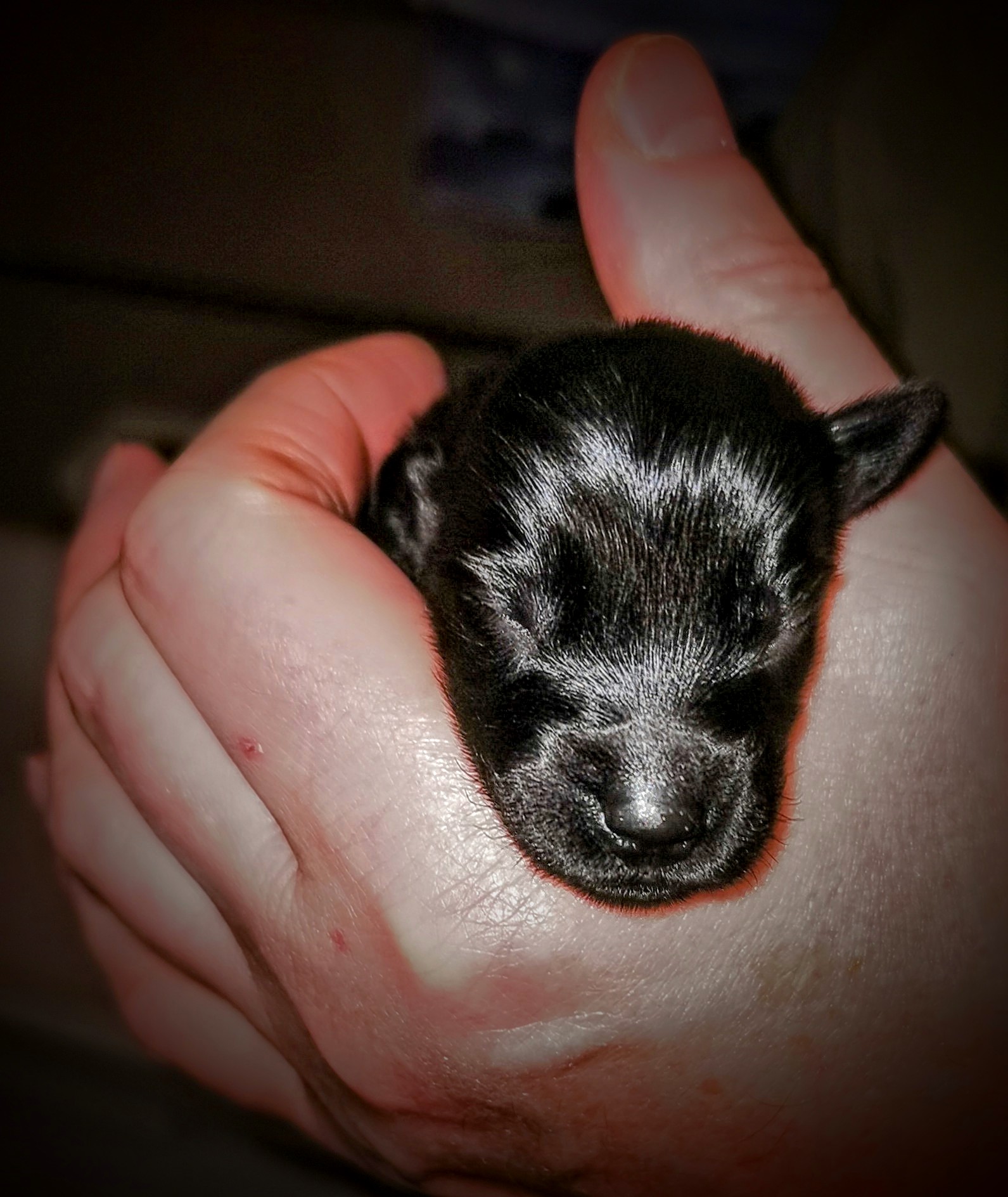 So klein und schon perfekt - immer wieder ein Wunder