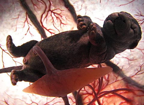 Es wird doch
Wie schnell das geht