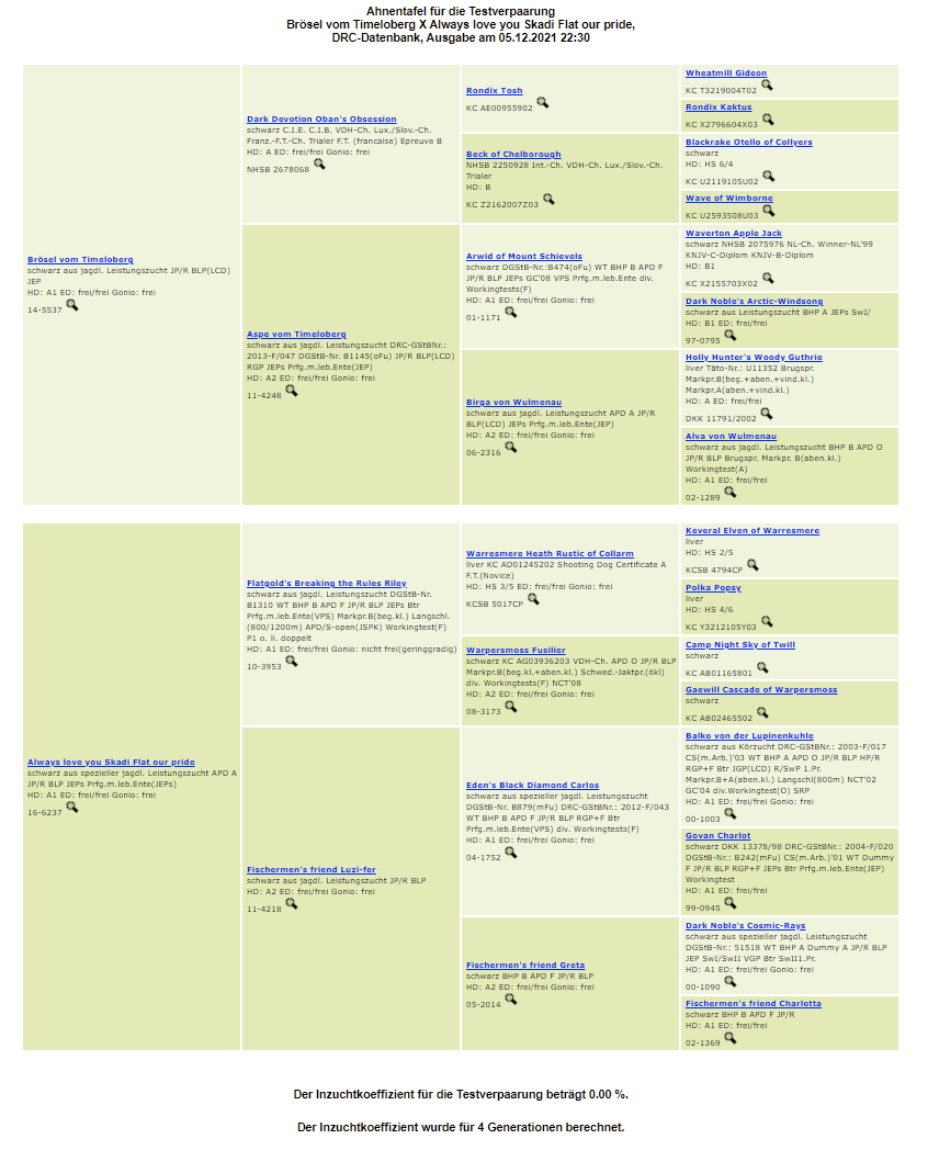 DRC-Inzuchtkoeffizientberechnung Skadi & Brösel